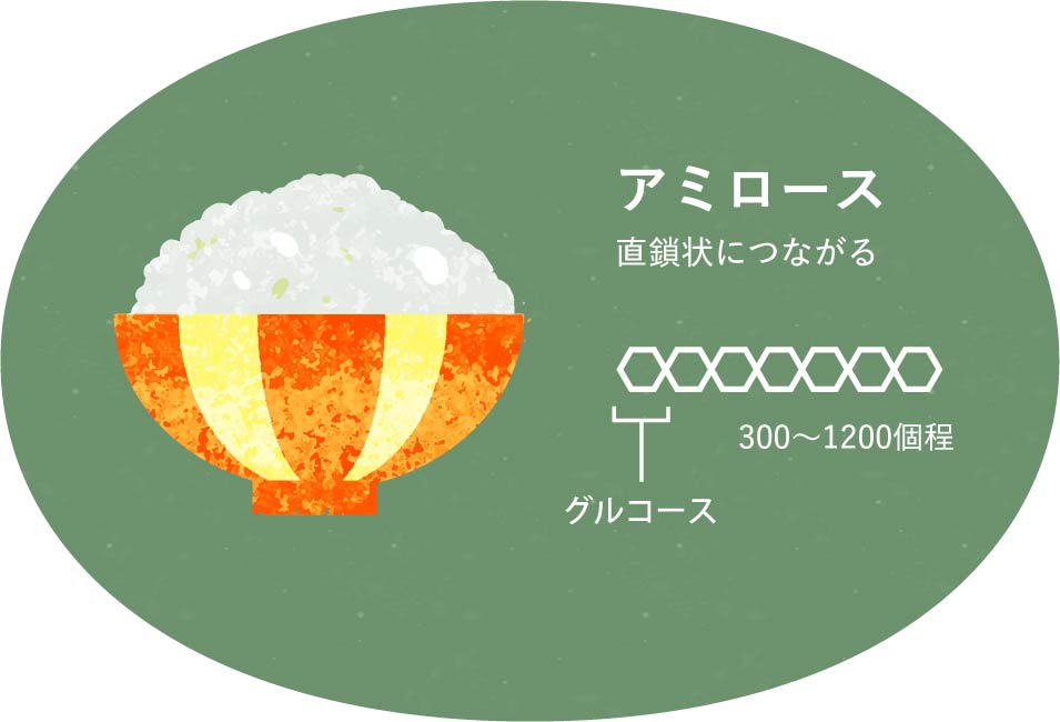アミロース